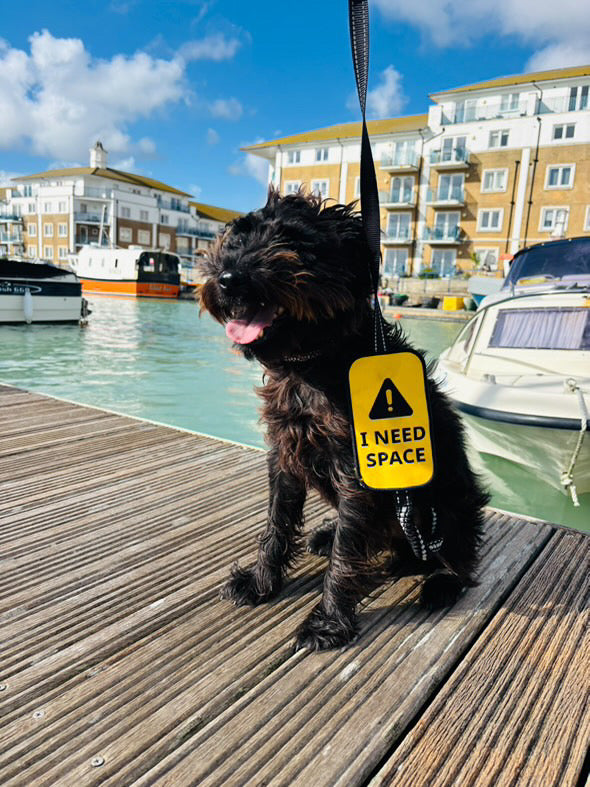 I need space - Lead banner